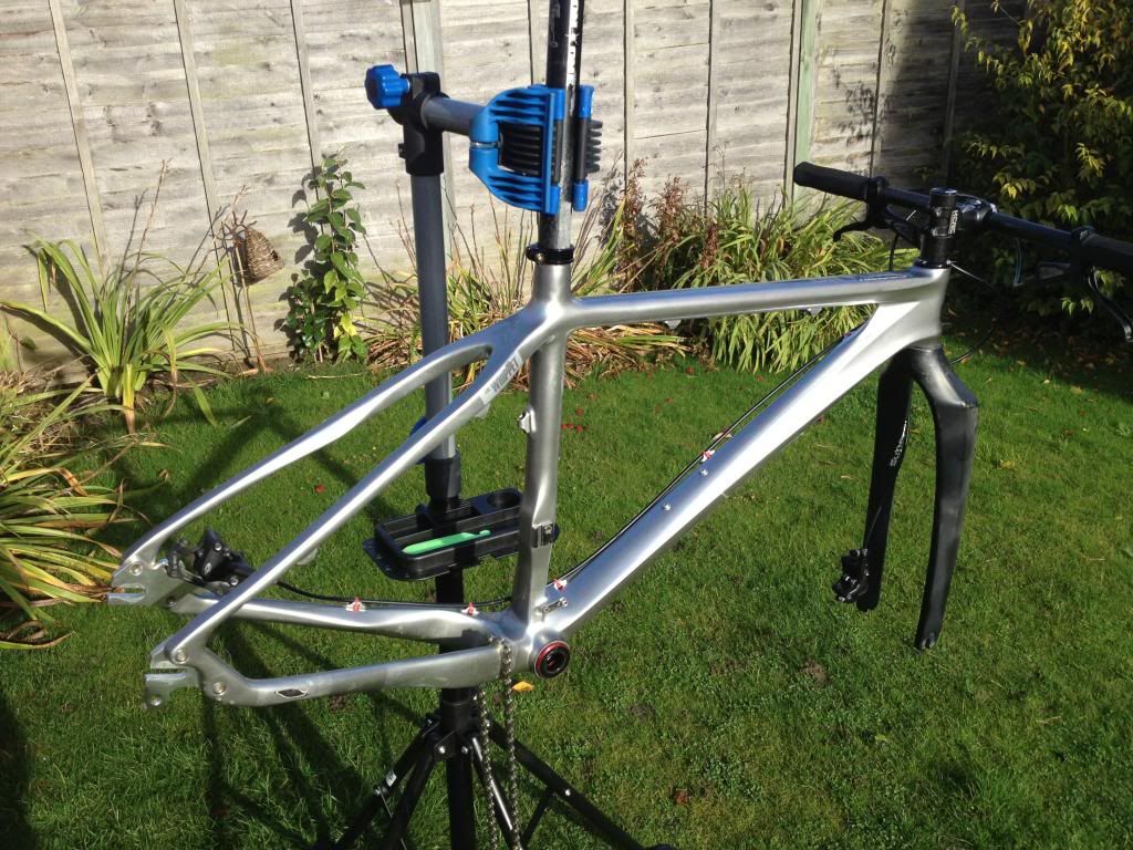 on one whippet frame